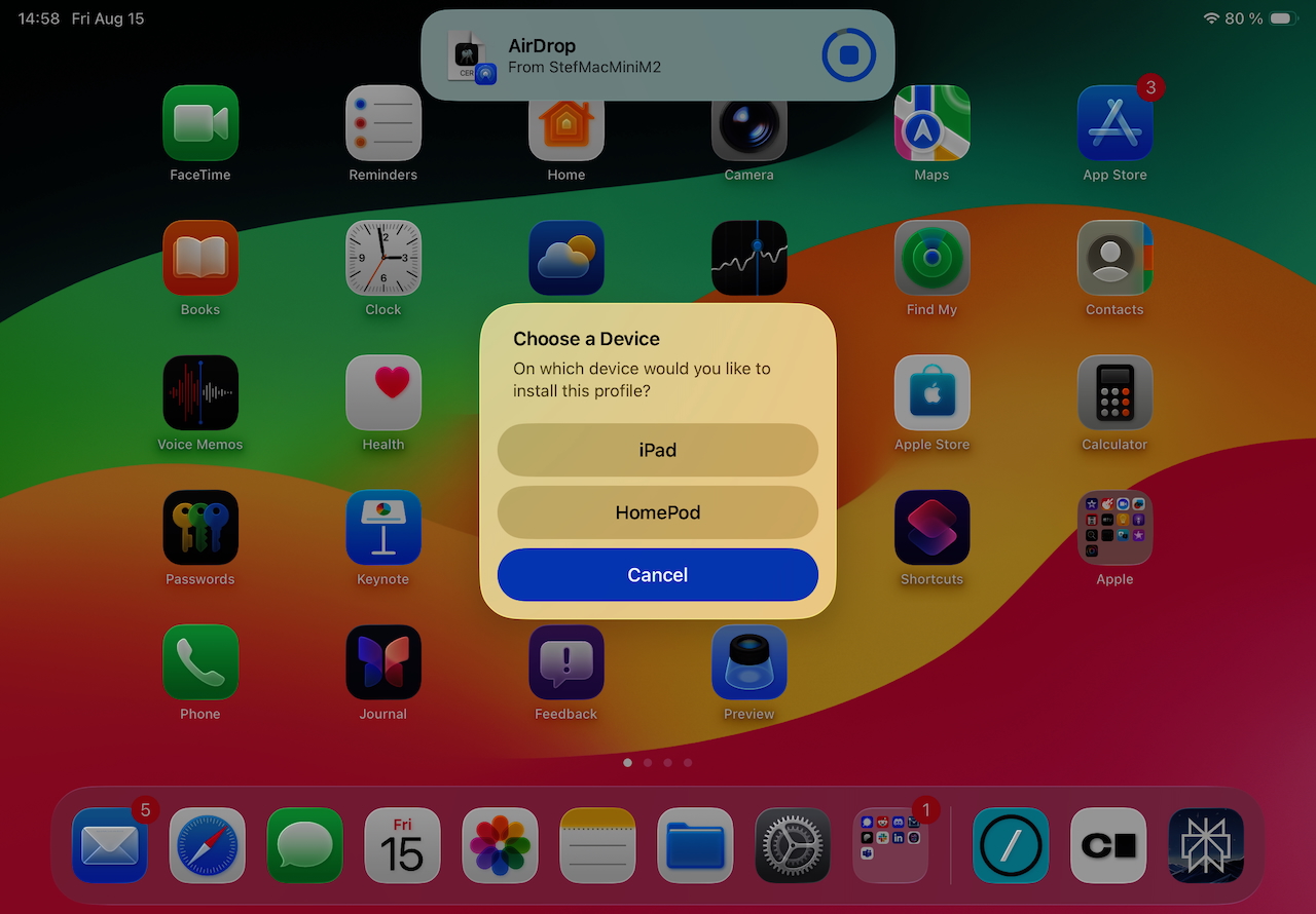 Dialog im iPadOS-Einstellungsmenü zur Installation eines Zertifikat-Profils. Überschrift Installieren und iPad, Auswahlmöglichkeiten für das Gerät, schlichte Oberfläche, Fokus auf einfache Installation.